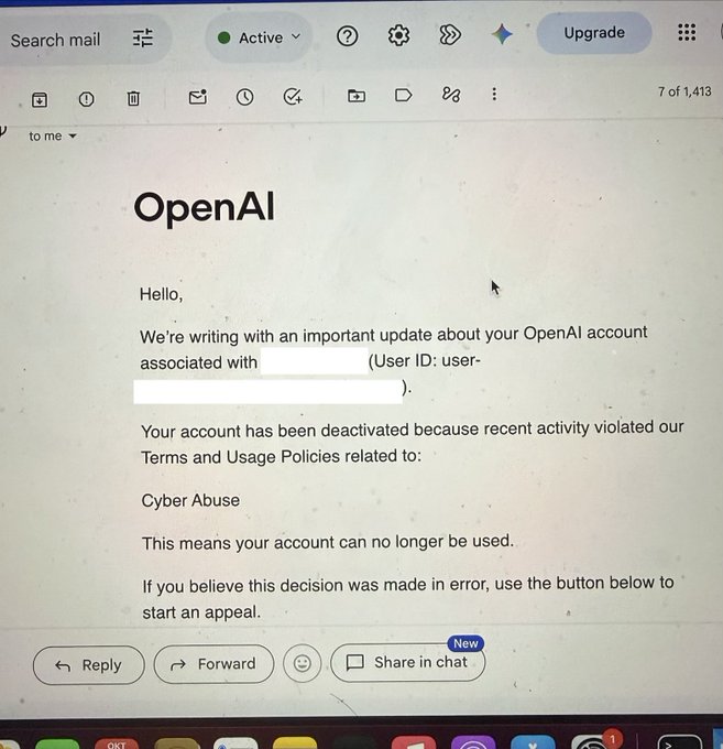 被引用开发者分享的账号邮件截图；封号经过属于作者自述。